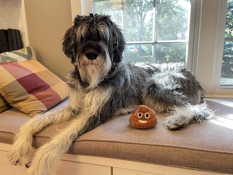 🎁Lowest price ever💥Funny  Poop Plush Toy – Makes Fart Sounds!